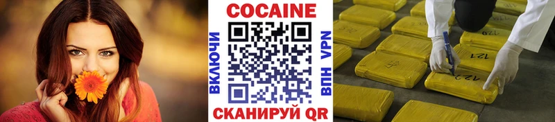 Купить  Кировск  Кокаин FishScale 