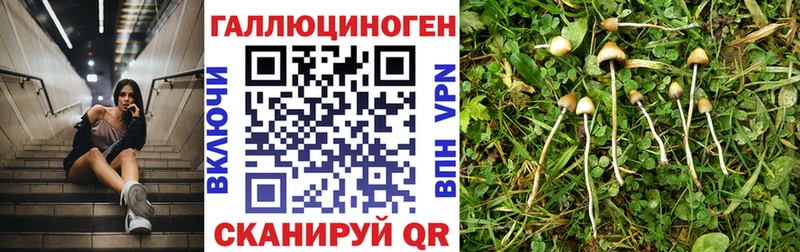 Псилоцибиновые грибы прущие грибы  Купить  Кировск 